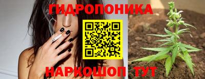 герыч Бийск