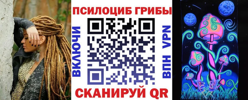 это Telegram  Менделеевск  Псилоцибиновые грибы Psilocybe 
